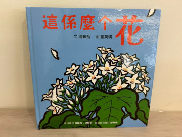 這係麽个花的照片